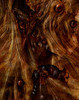 Shoggoth IX - Detail