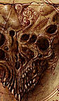 Skull II - Detail