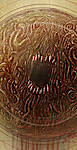 Mouth CIII - Detail