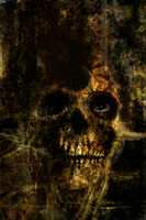 SkullHead