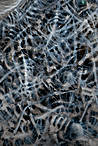 Wraith - French Version -Screen - Detail
