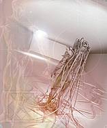 Computer Art Avatar Cover 2002